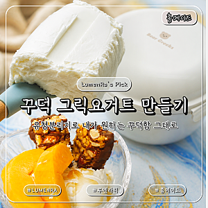 그릭요거트 만들기 플레인요거트로 꾸덕하게 만드는 방법과 유청분리기 사용 후기