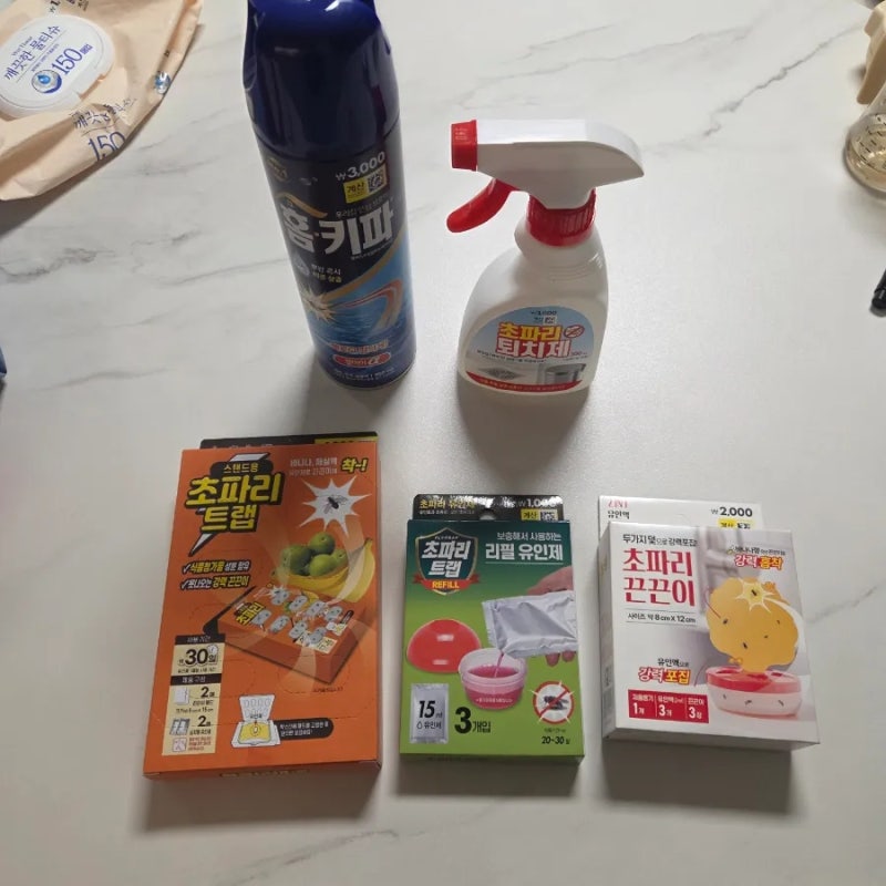 집에서 여름철 초파리 퇴치하기｜대청소, 다이소 초파리 퇴치용품 후기