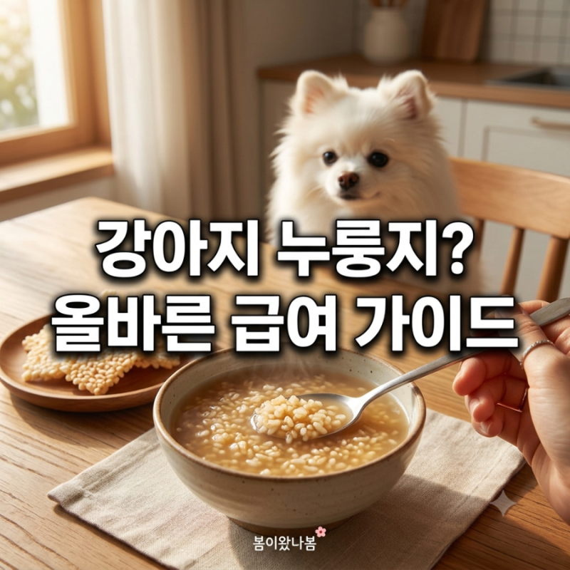 고소한 냄새에 홀린 댕댕이, 강아지 누룽지 먹어도 될까? 직접 겪어보고 깨달은 위험성과 올....