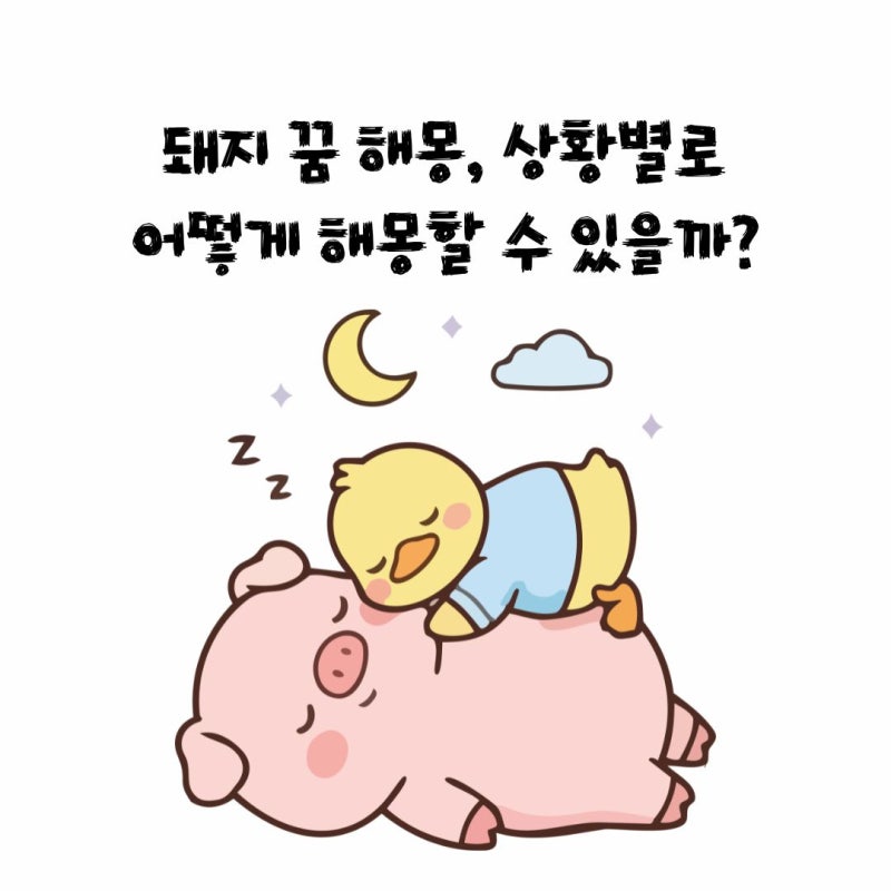 돼지 꿈 해몽 상황별로 어떻게 해몽할 수 있을까?