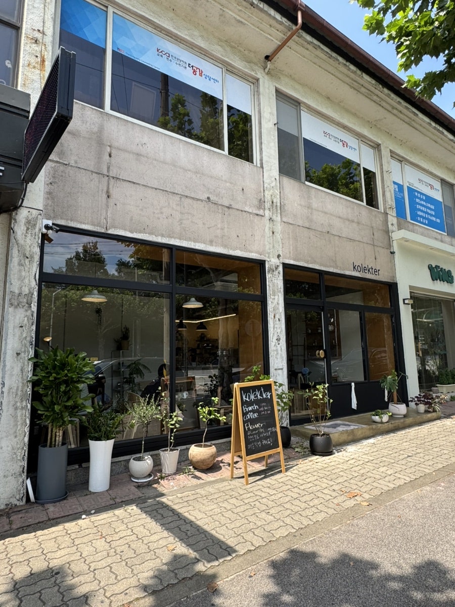 콜렉터 사진 1