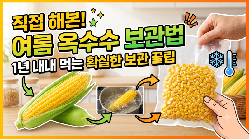 여름 옥수수 보관법 직접 해보고 정착한 확실한 꿀팁