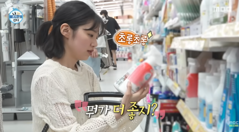 연예인이 집은 다이소 청소템! 역시 청소 잘하는 사람들은 '이걸' 고르더라고요.