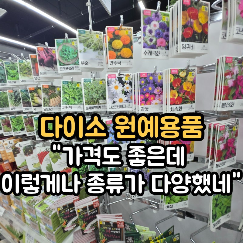 "이렇게 종류가 다양했다고? "다이소 흙, 씨앗, 화분 등 원예용품 총정리