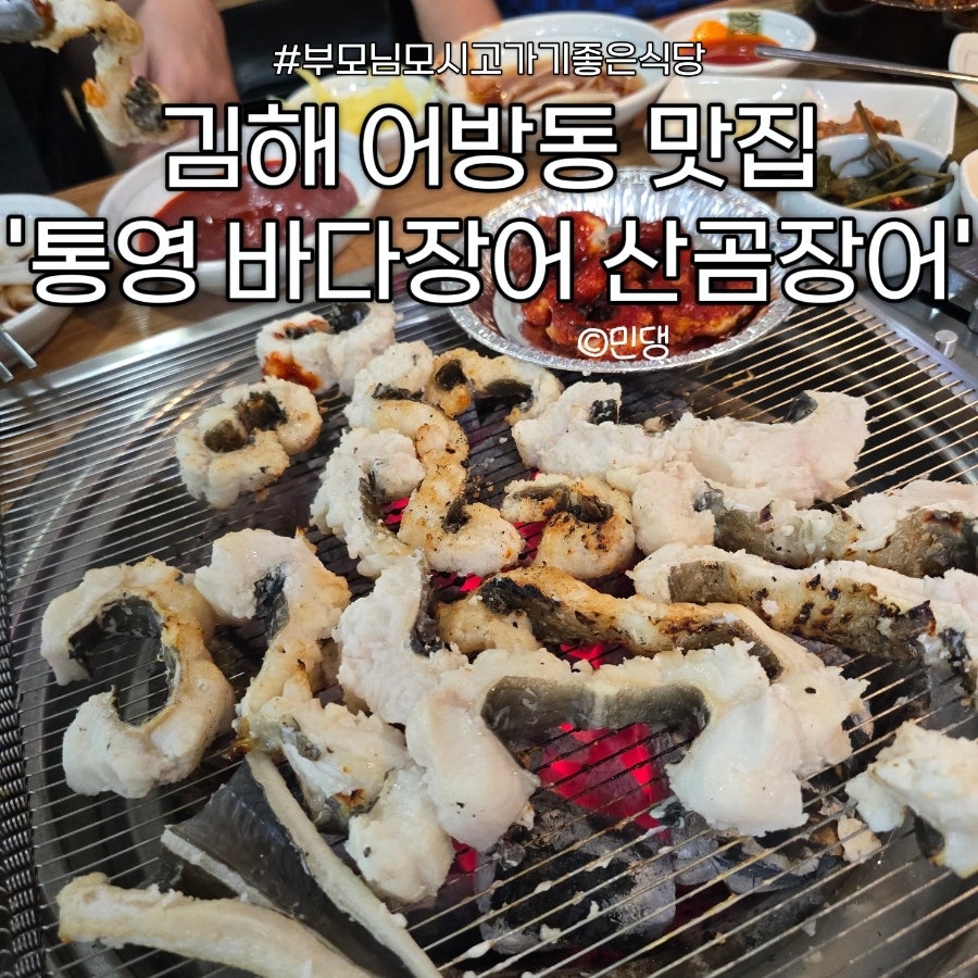 통영바다장어 사진 1