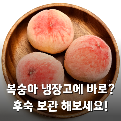 복숭아 오래 보관하는 법 후숙 냉장보관까지 총정리