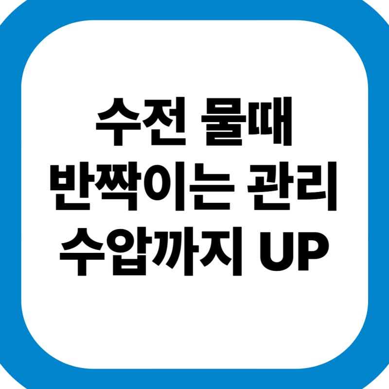 여름철 싱크대 수전 물때 제거와 수압 살리는 셀프 관리법