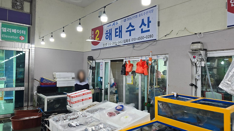 어 사진 4