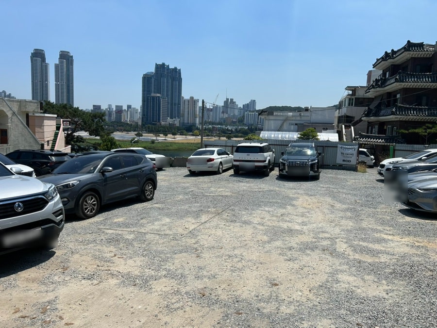디비디비딥 사진 2