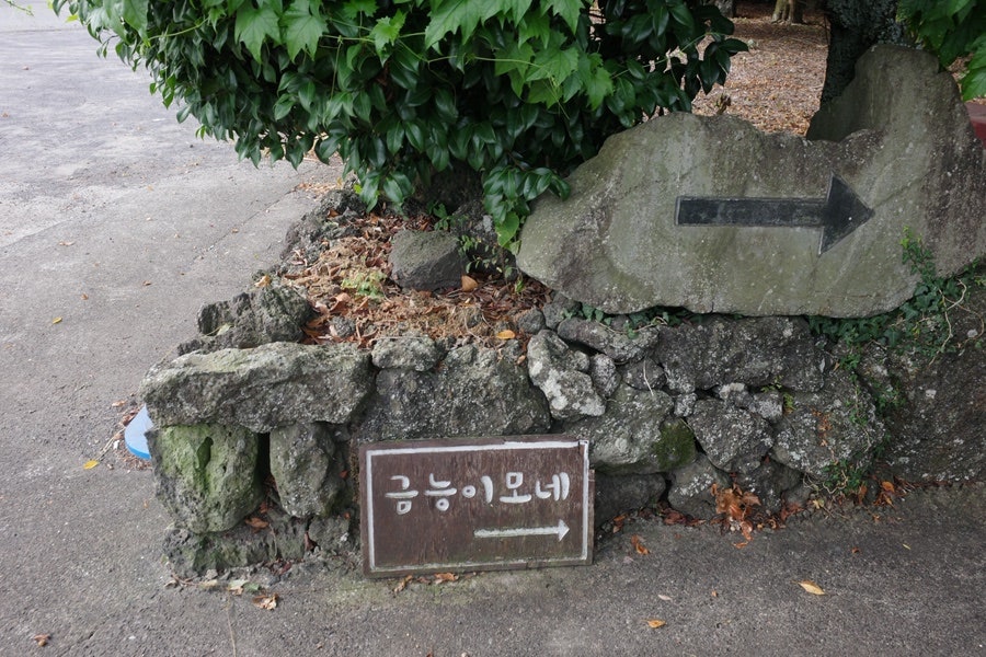 금능이모네 사진 1