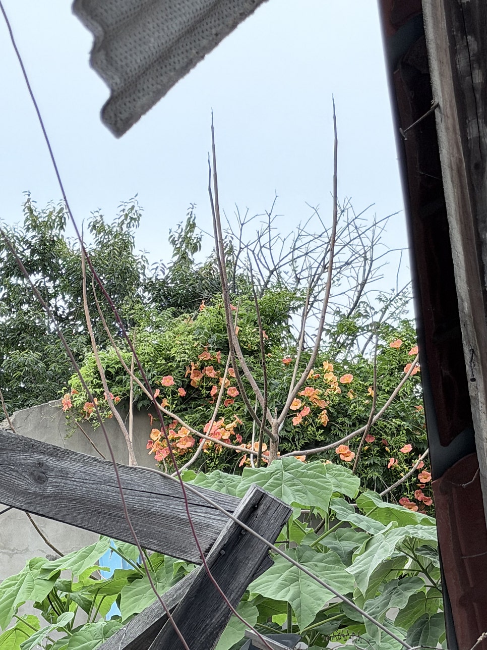 순양대게횟집 사진 5