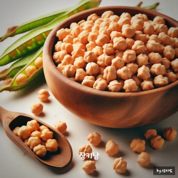 병아리콩 효능 삶기 칼로리 요리법 하루 섭취량