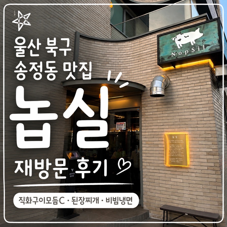 놉실 사진 1