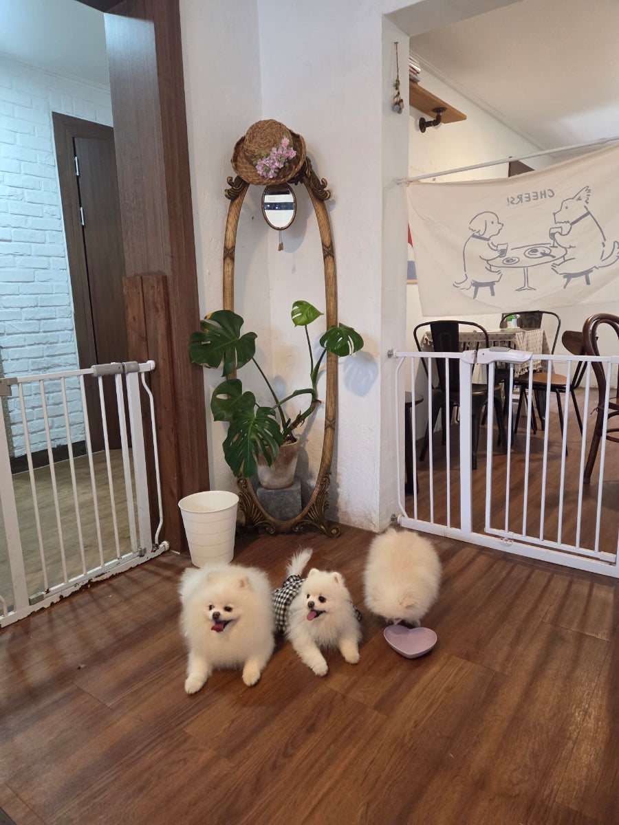 11월4일 사진 2