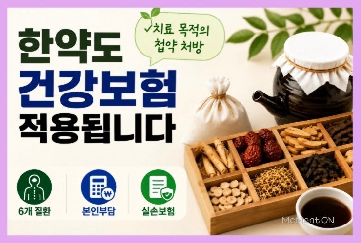 한약도 건강보험 적용됩니다｜첩약 보험 6개 질환·비용·실손보험 정리