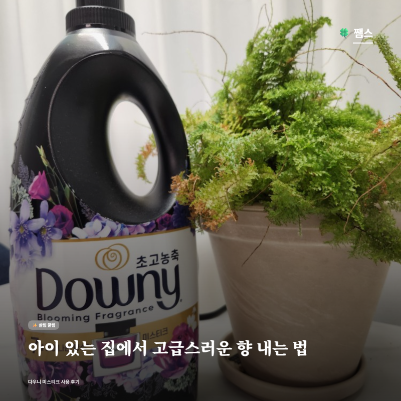 아이 있는 집에서 고급스러운 향 내는 법| 다우니 미스티키 실사용 후기