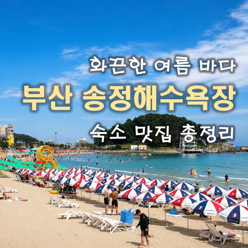 부산 여름 화끈한 놀거리 송정해수욕장 숙소 맛집 총정리