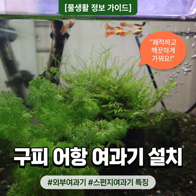 구피여과기 어항 여과기 설치 자반어항 외부여과기 스펀지여과기