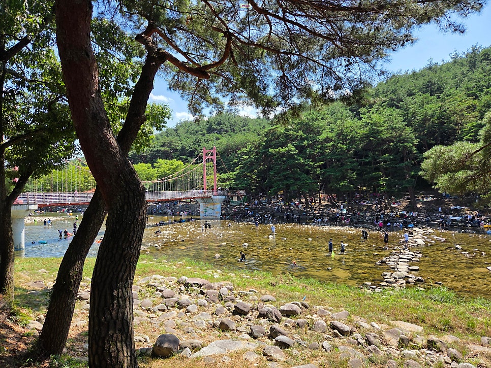장풍가든 사진 6