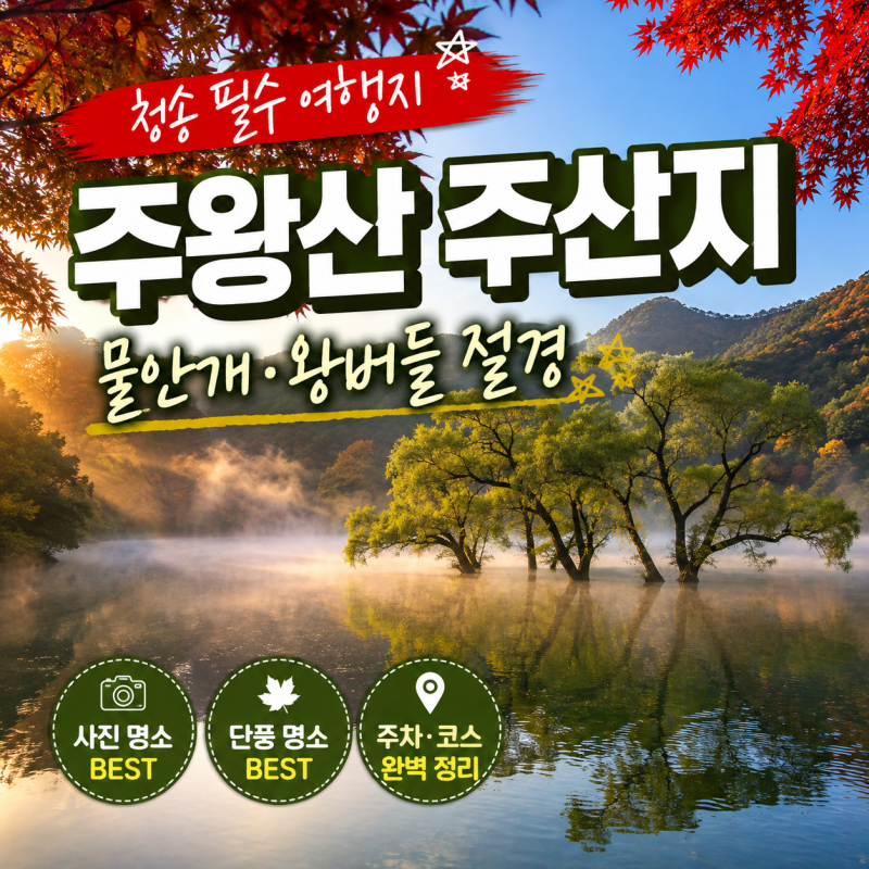[청송 가볼만한곳] 주왕산 주산지 완벽 가이드! 300년 왕버들·물안개·단풍 명소 총정리