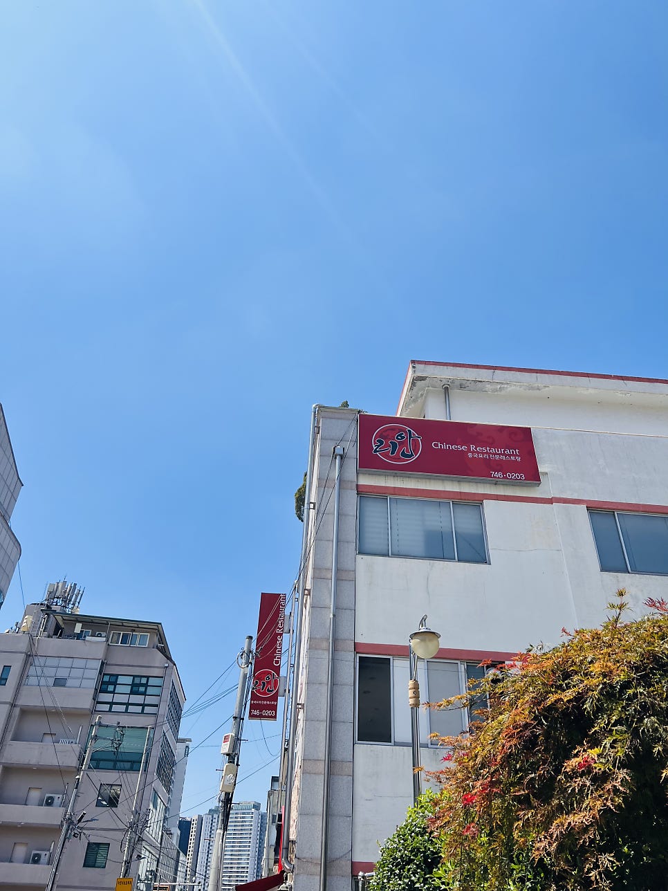 리안 사진 1