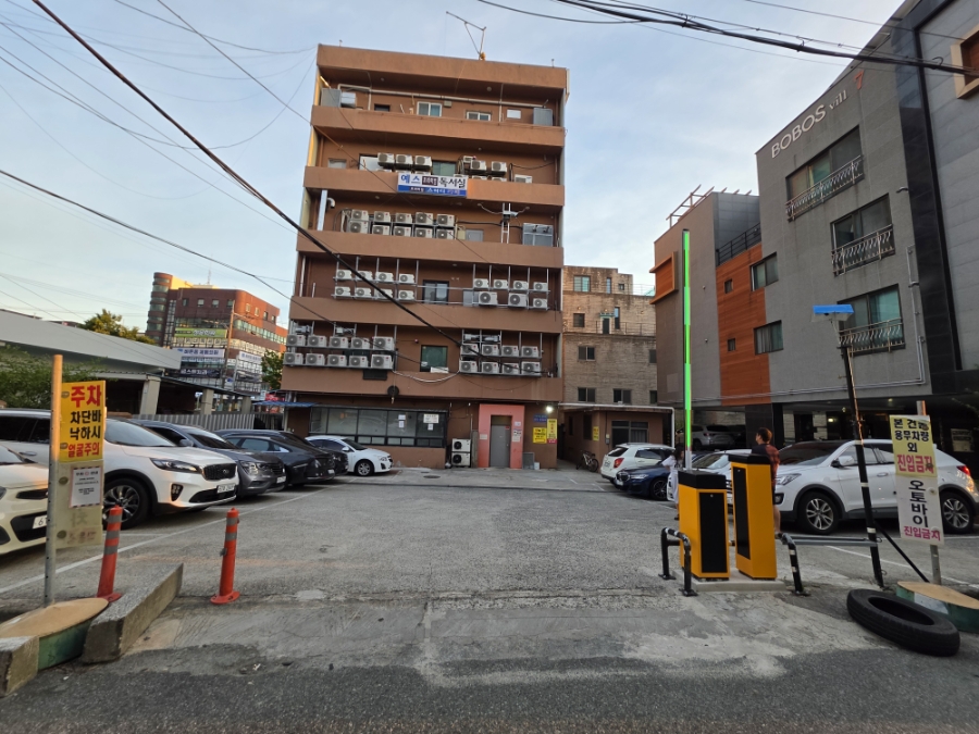 막대 사진 2