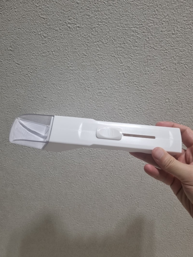 휴지 뭉쳐서 벌레 잡지 마세요 벽지 망치고 알 까는 최악의 습관! 집안의 들어온 벌레 손 안 ....