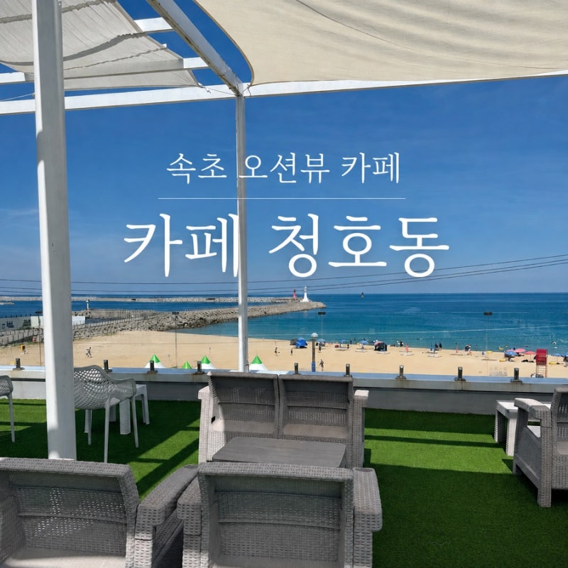 속초 오션뷰 카페 추천 | 카페 청호동