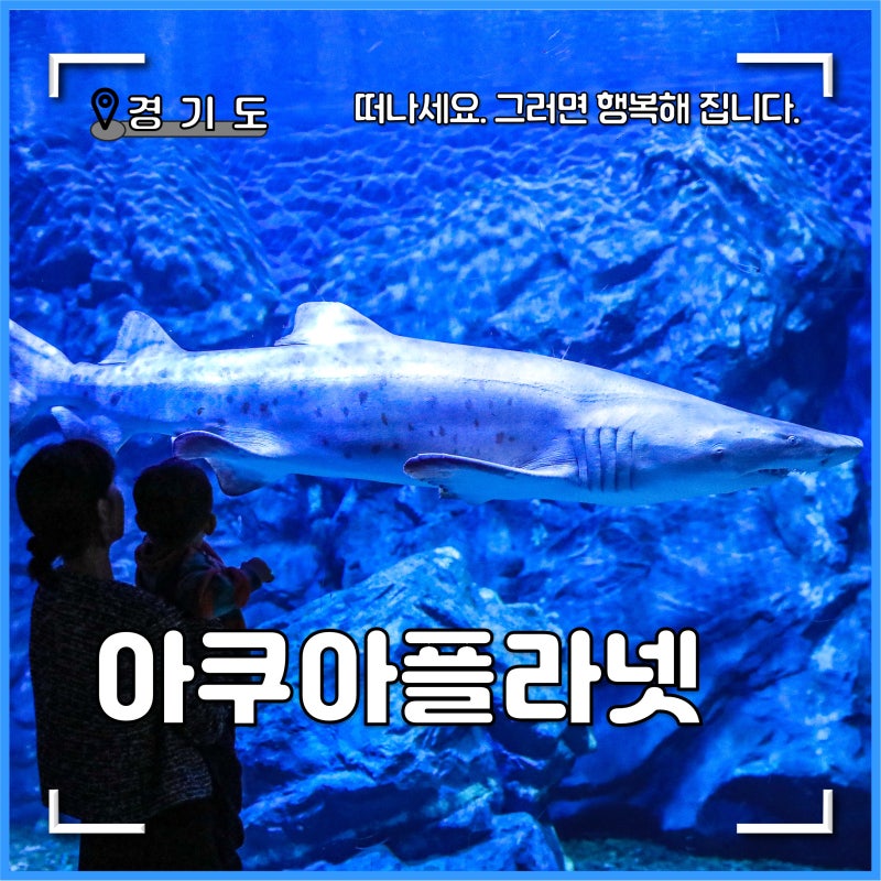 일산 아쿠아플라넷 최저가 예매 팁