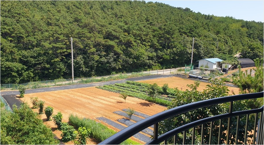 영흥도펜션 사진 5