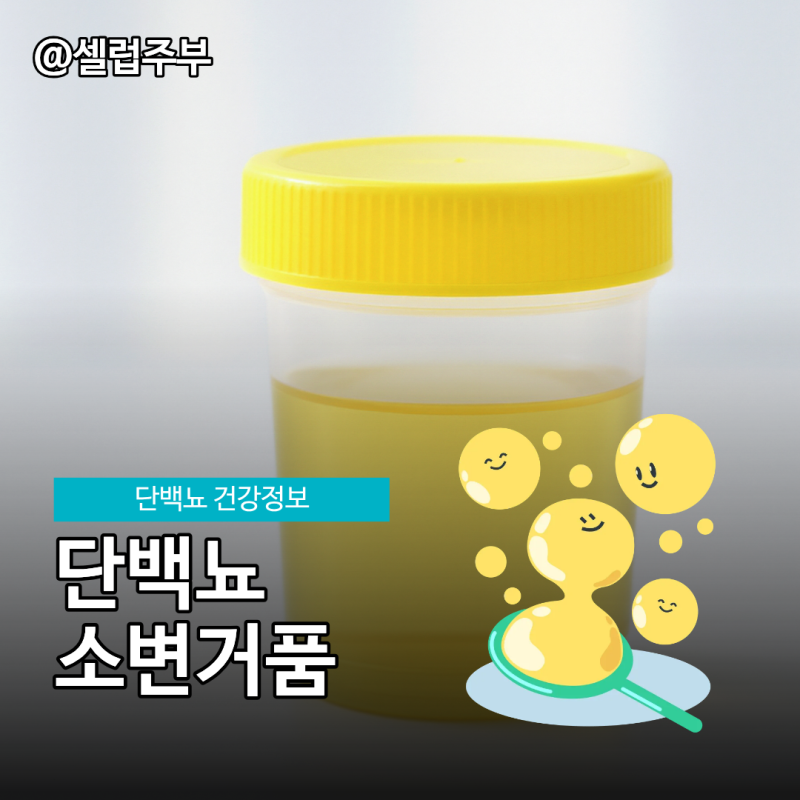단백뇨 와 소변거품 차이 체크 방법