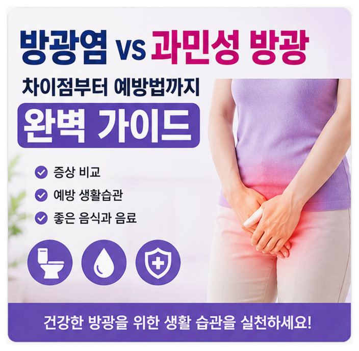 방광염과 과민성 방광 차이점부터 예방법까지 한 번에 정리