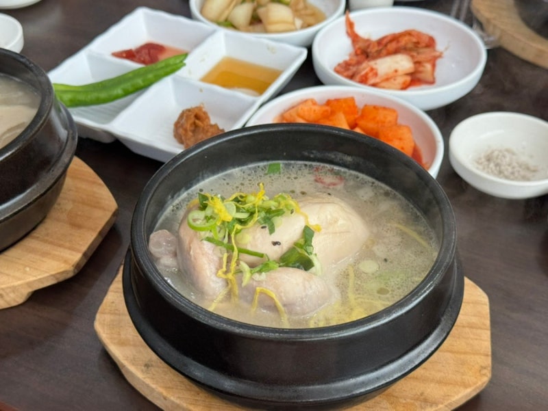 [일산] 대화역 고양종합운동장 근처 삼계탕 맛집 / 초복 • 중복 • 말복