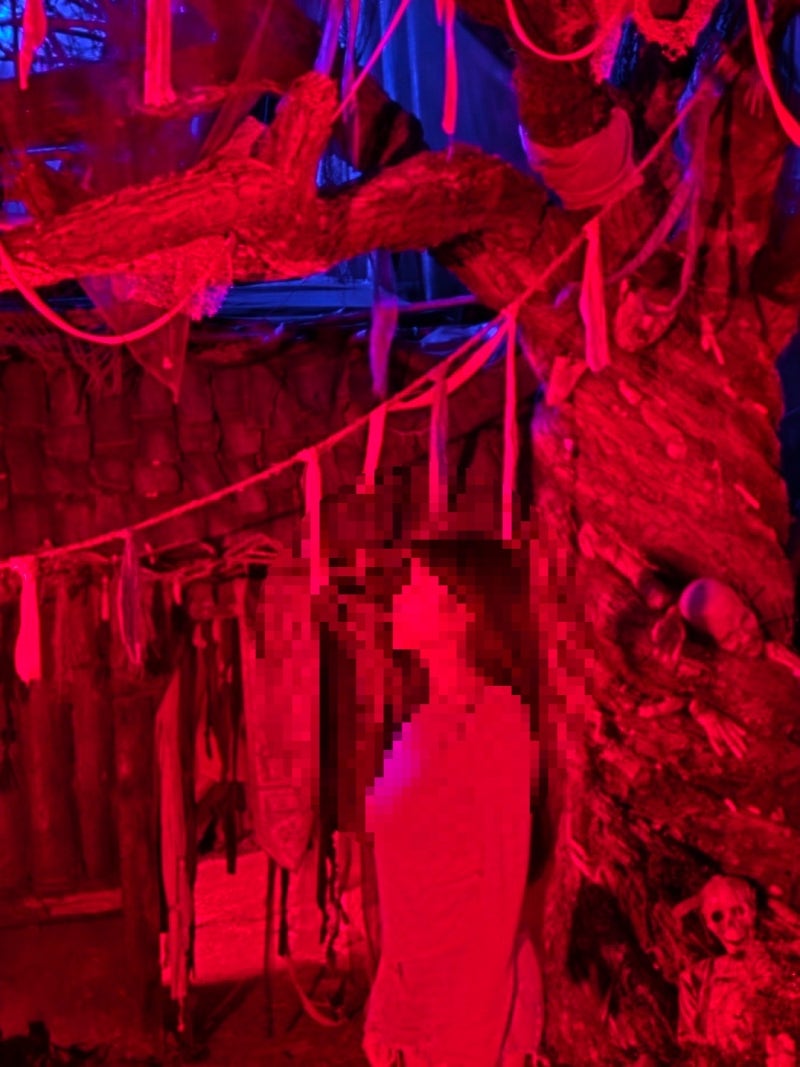 Korean Folk Village Horror Experience: Salgwiok Review, Admission Fees, and Booking Tips