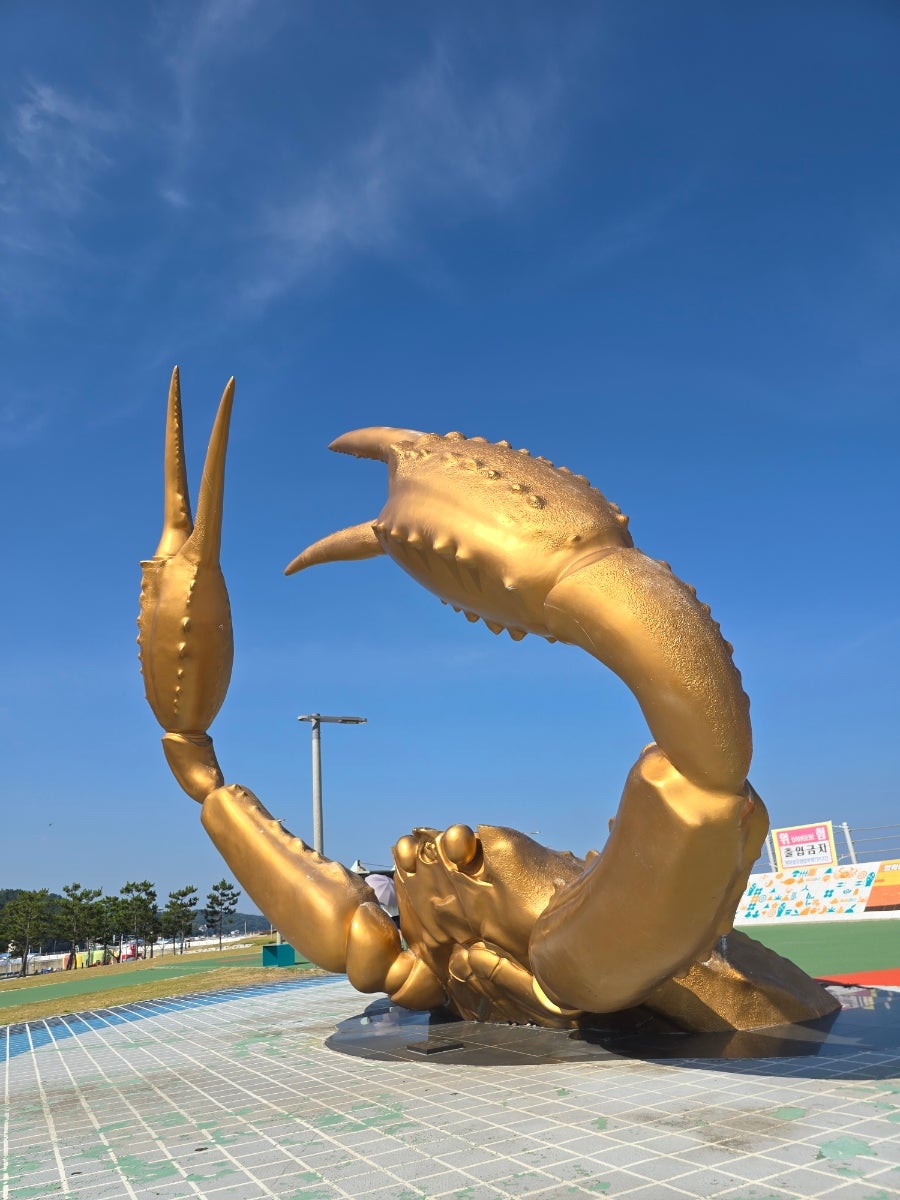 라면집 사진 6