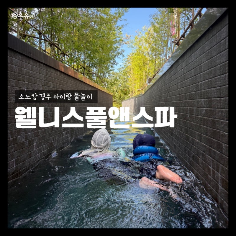 소노캄 경주 수영장 웰니스풀앤스파 솔직 후기 || 수심 스낵바 가격 할인정보