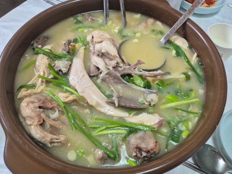 [서산] 오리백숙 닭볶음탕 삼계탕 옻닭 가족모임 추천 온석동 동문동 점심식사 맛집 단풍나....