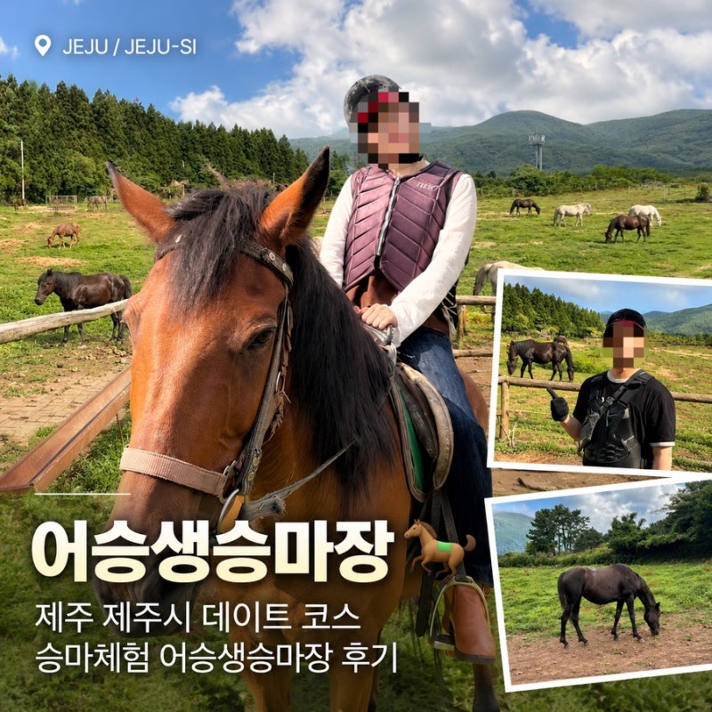 제주 제주시 데이트 코스 제주승마체험 어승생승마장 후기