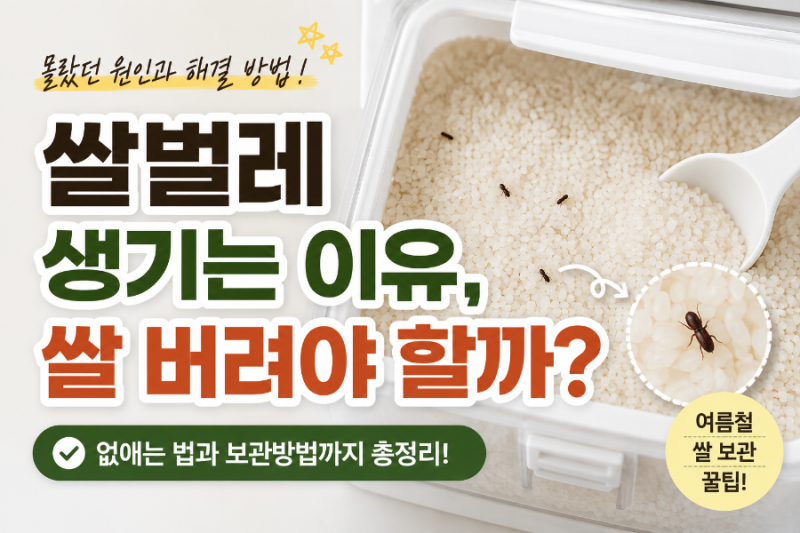 쌀벌레 생기는 이유, 쌀 버려야 할까? 없애는 법과 보관 방법