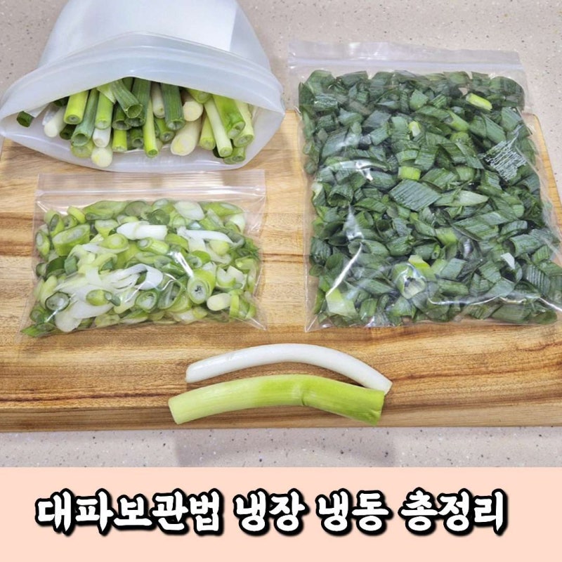 대파보관법 총정리! 지퍼백 하나로 냉장부터 냉동까지 오래 보관하는 법
