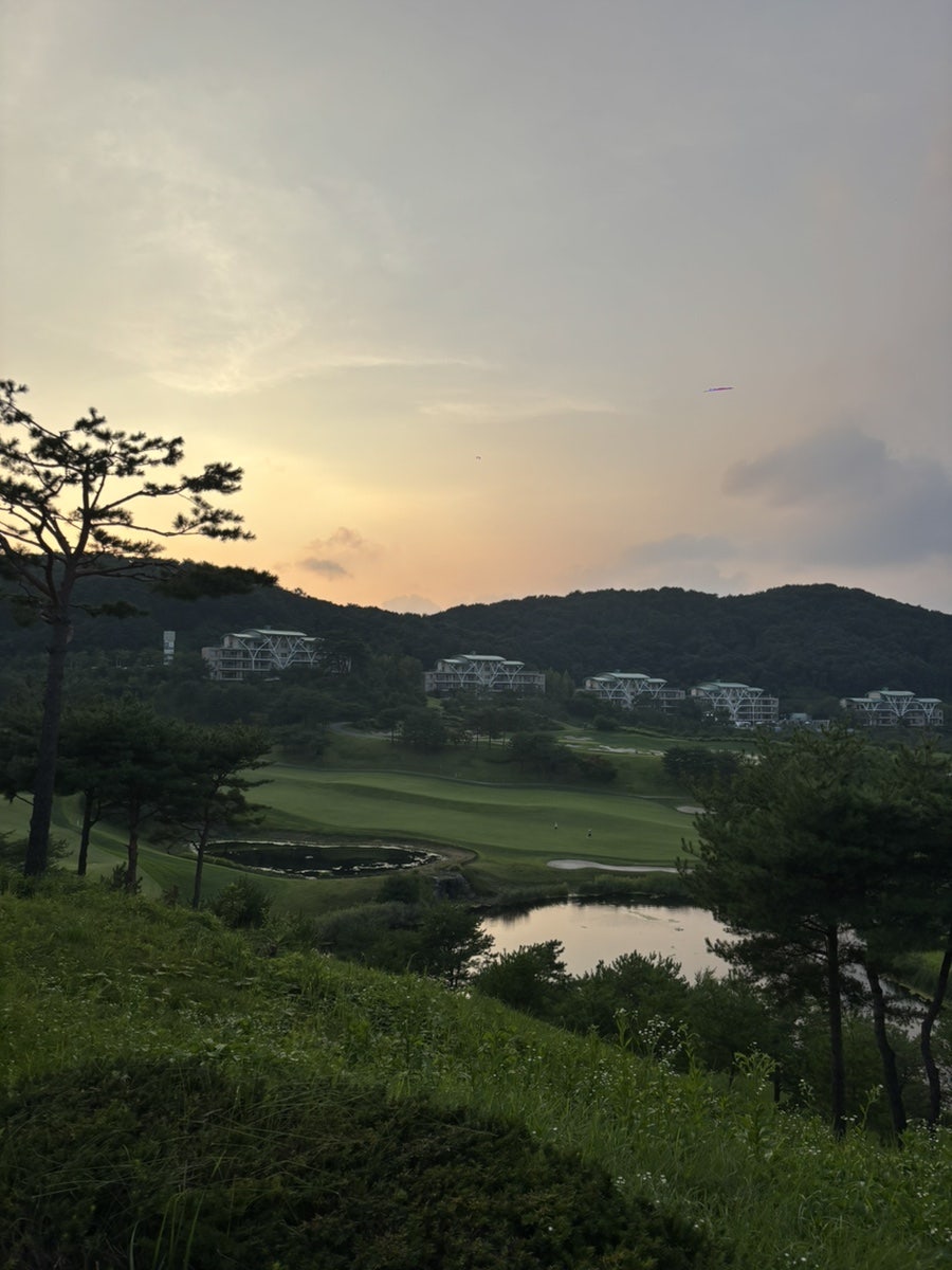 소노펠리체 빌리지 비발디파크 사진 2