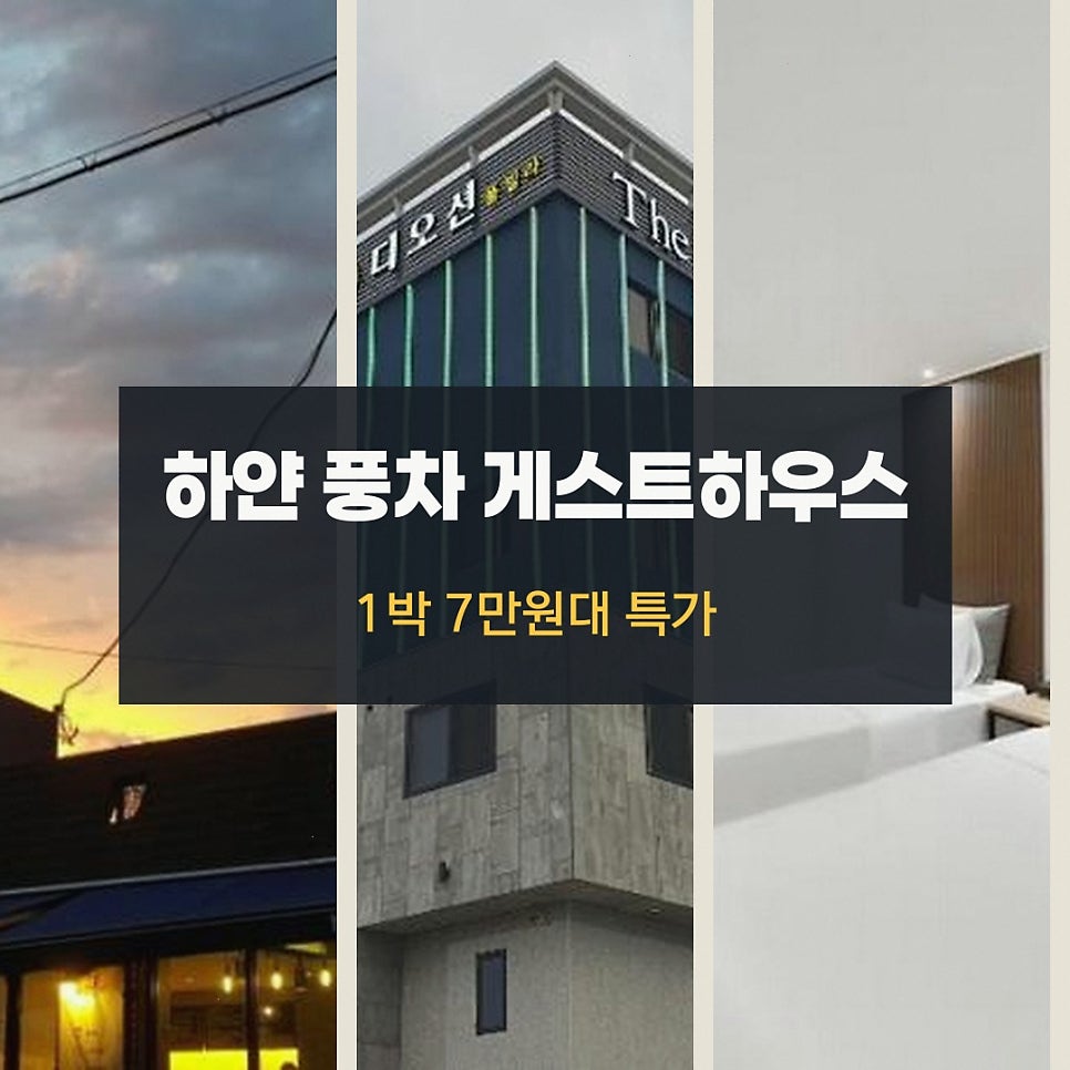하얀풍차게스트하우스 사진 2