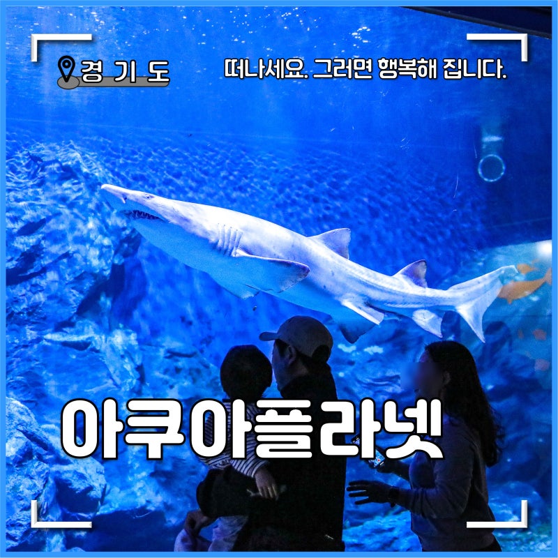광교 아쿠아플라넷 최저가 예약 팁