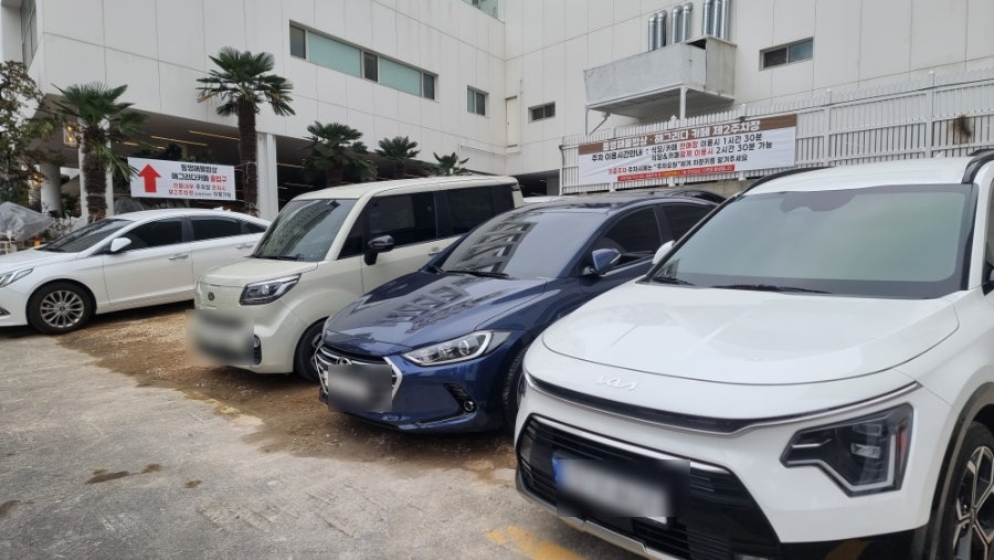 박해윤통영해물밥상 동래점 사진 4