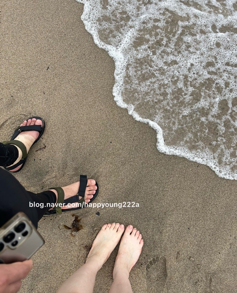 양양 당일치기 여행 코스 추천ㅣ인구해변 리틀코브 브런치카페, 낙산해변 다이닝수산가)