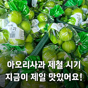 아오리사과 제철 시기 초록색인 이유 맛있는 풋사과 고르는 법