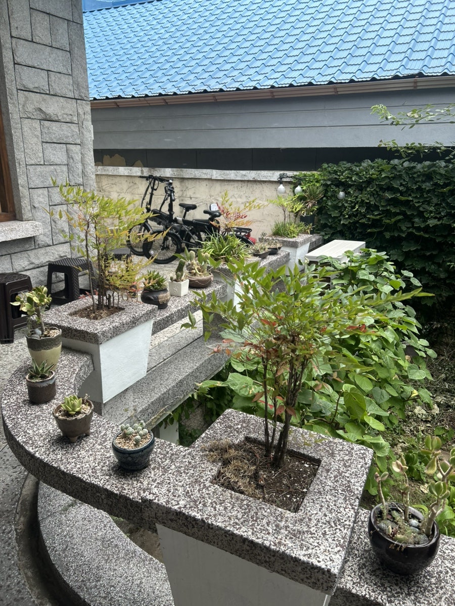 한결같은식당 사진 4
