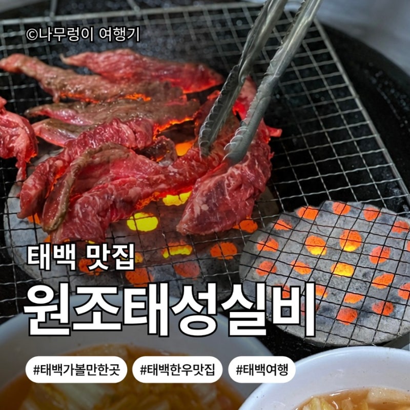 [강원도 태백시]노포 감성 가득한 한우 맛집 추천 | 원조태성실비식당 내돈내산 후기