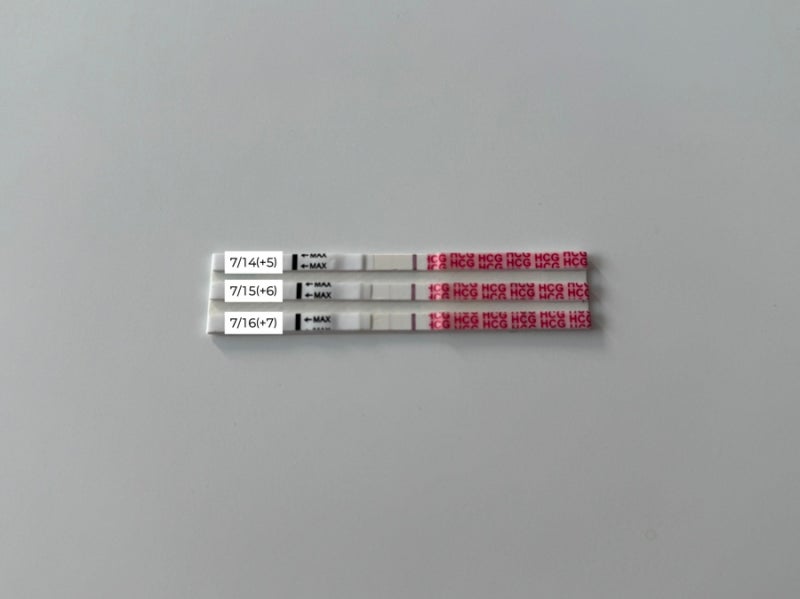 시험관 일기_8 (미라클 여성의원/1•2차피검사/원포테스트기진하기/아기집/난황/출혈/그리고 ....