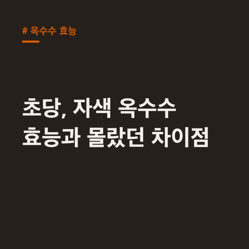 옥수수 효능, 초당·자색 품종별 차이와 부작용까지